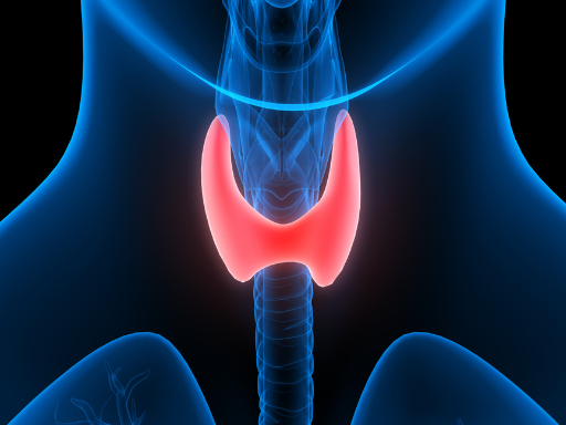 What Are The Specific Kinds Of Thyroid Disorders?